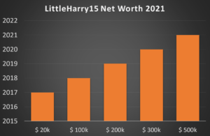 LittleHarry15 Net Worth 2021