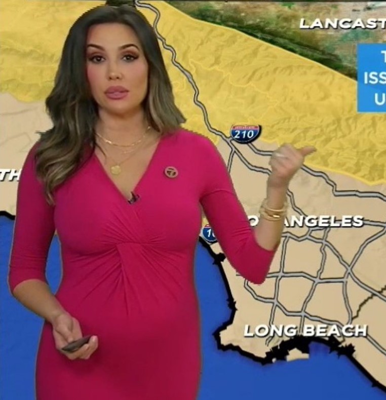 Weather Reporter Leslie Lopez From ABC7 Wiki: Age, Husband, Married ...