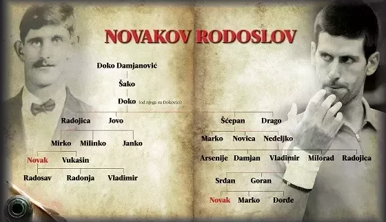 Novak Djokovic Family Tree