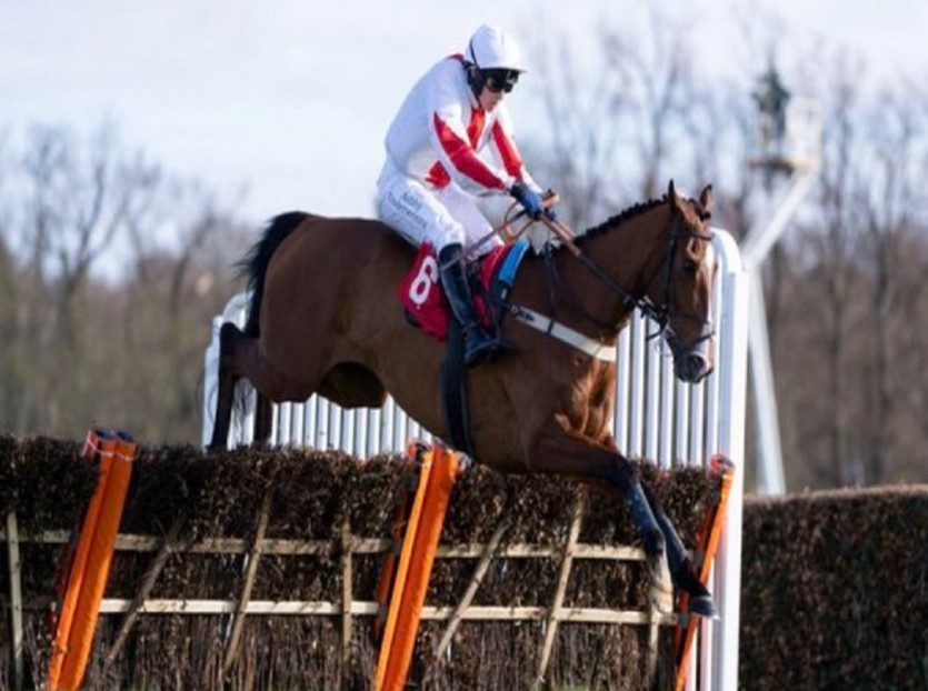 Shallwehaveonemore Horse Died In Cheltenham Festival 2022, Injury and