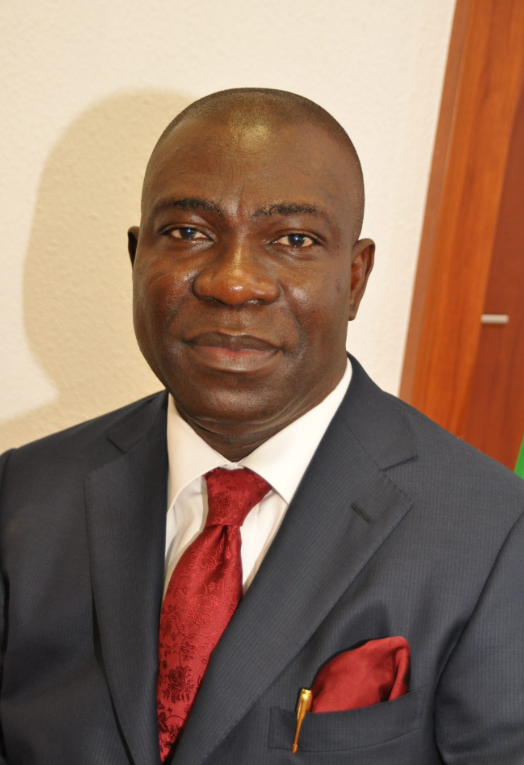 Who Is Sonia Ekweremadu? Facts To Know About Nigerian Senator Ike ...