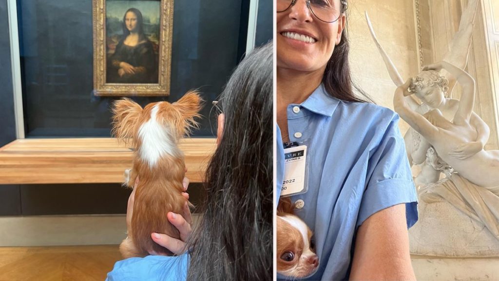 Demi Moore received criticism for bringing her dog Pilaf into the Louvre despite the museum’s ban on pets.