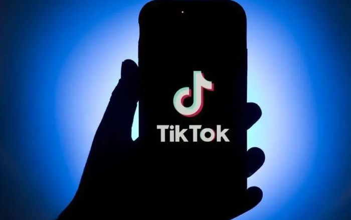 The CapCut template is the new trend on TikTok