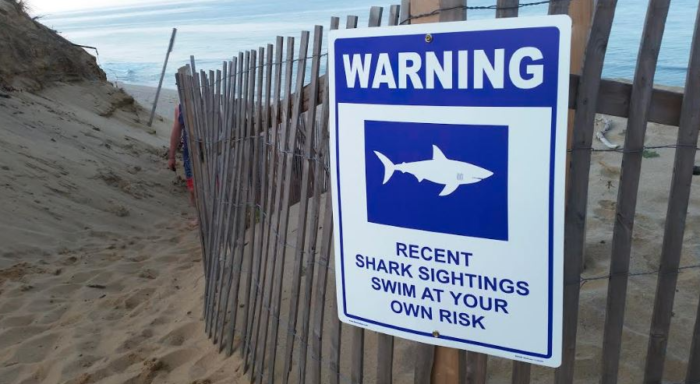 Shark Alert