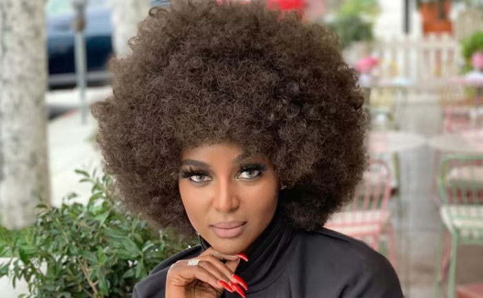 Does Love & Hip Hop Star Amara La Negra Have A Husband? Here Is What We Know About The Singer – InfoUsaPro