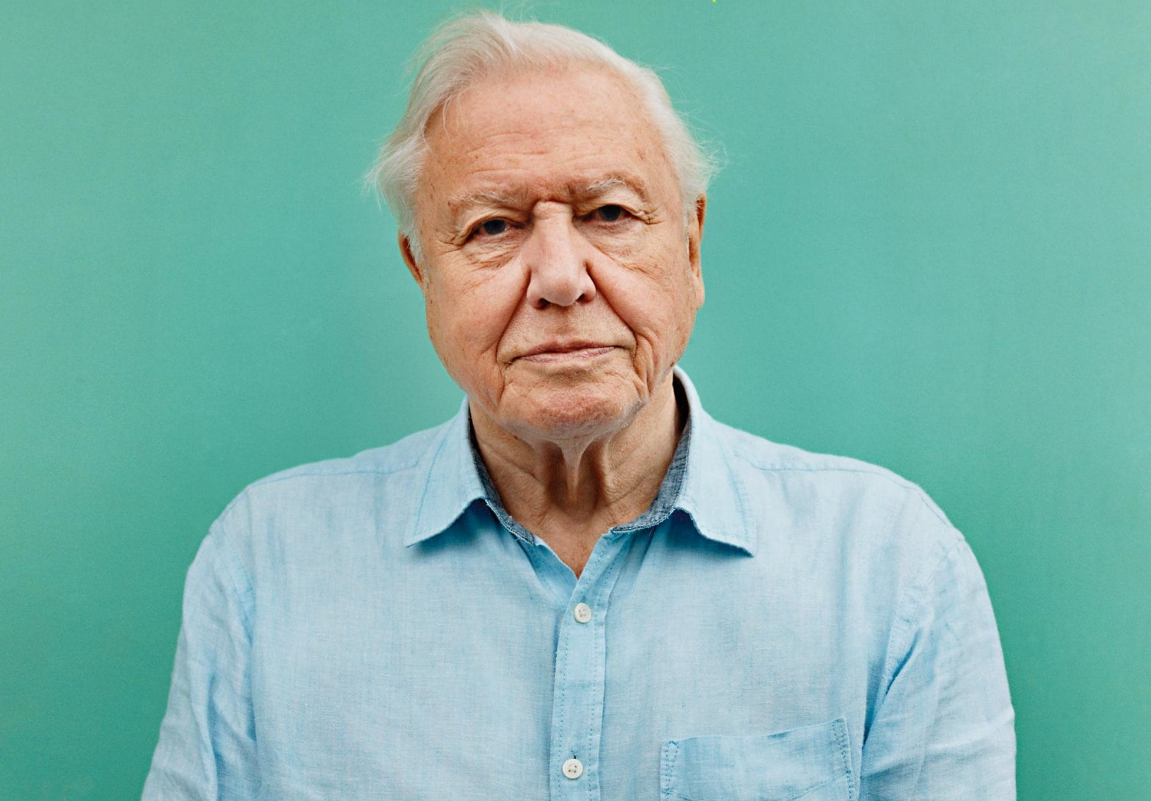 David Attenborough Is Still Alive Here Is An Update On The English   David Attenborough 