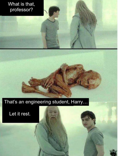 is-harry-potter-the-source-of-the-what-happened-to-him-meme-trust-news