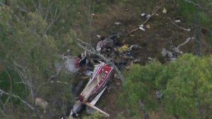 Pilot dies after his light plane crashes