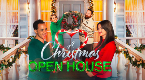 A Christmas open day