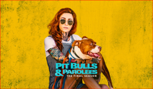 Pit Bulls and parolees ending with season 19 due to network changes